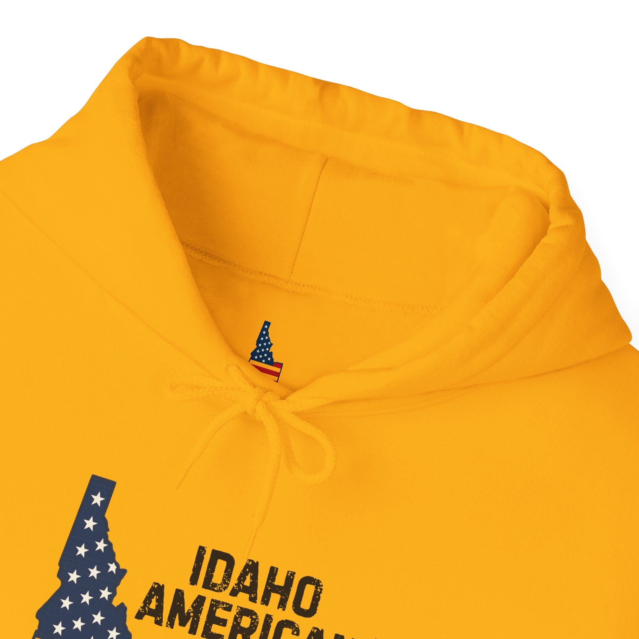 Idaho American Dad Hoodie with Sleeve Logo
