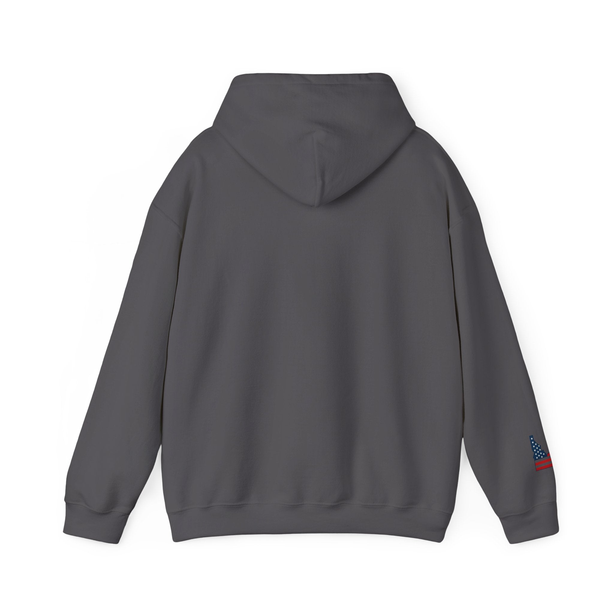 Idahole In One Women's Golf Hoodie With Sleeve Logo