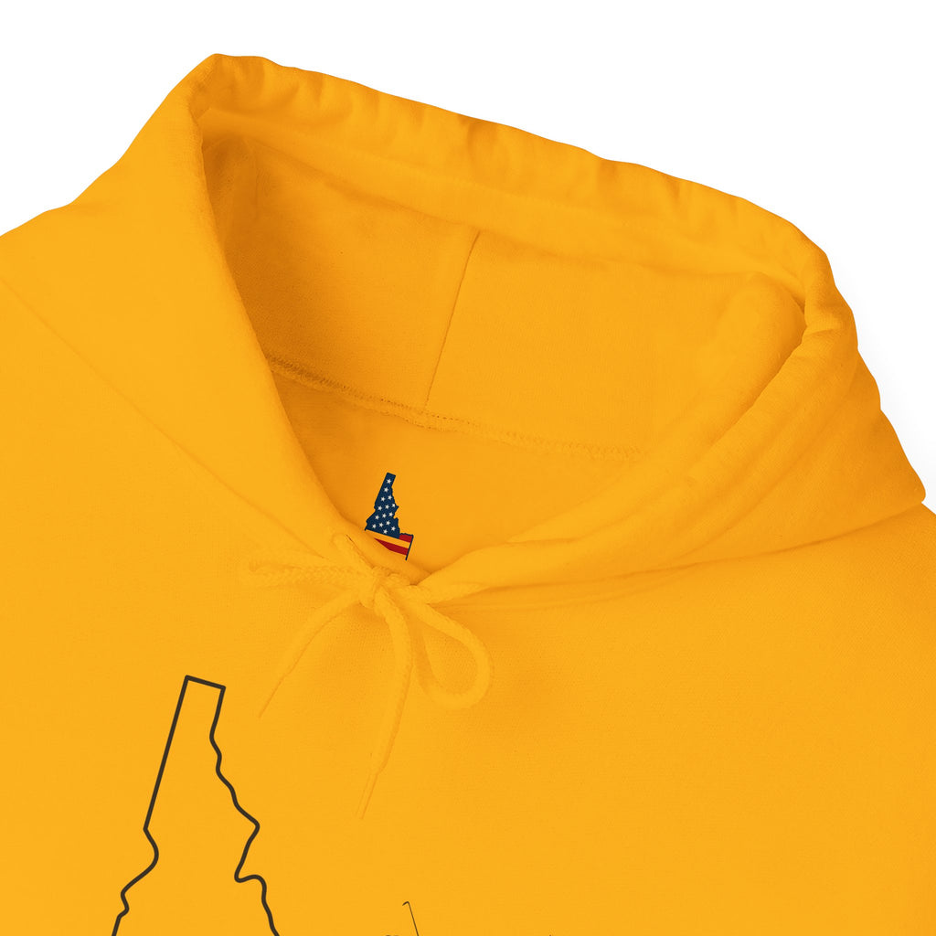 'Idahole In One' Men's Golf Hoodie with Sleeve Logo