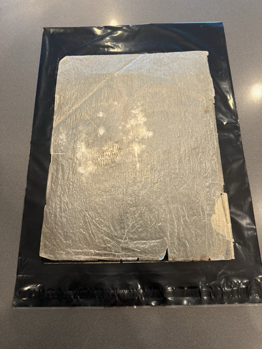 1939 Famous Folies Bergere Theatre Program Treasure Island San Francisco