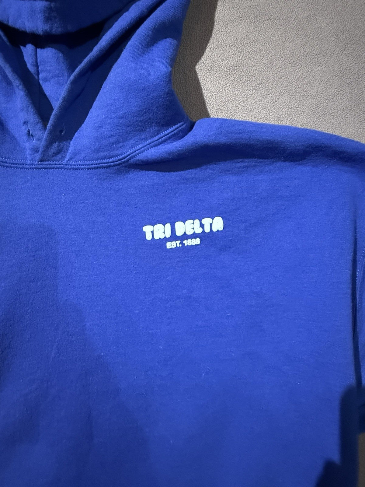 Delta Delta Delta Tri Delta Sweatshirt Hoodie XL Royal Blue