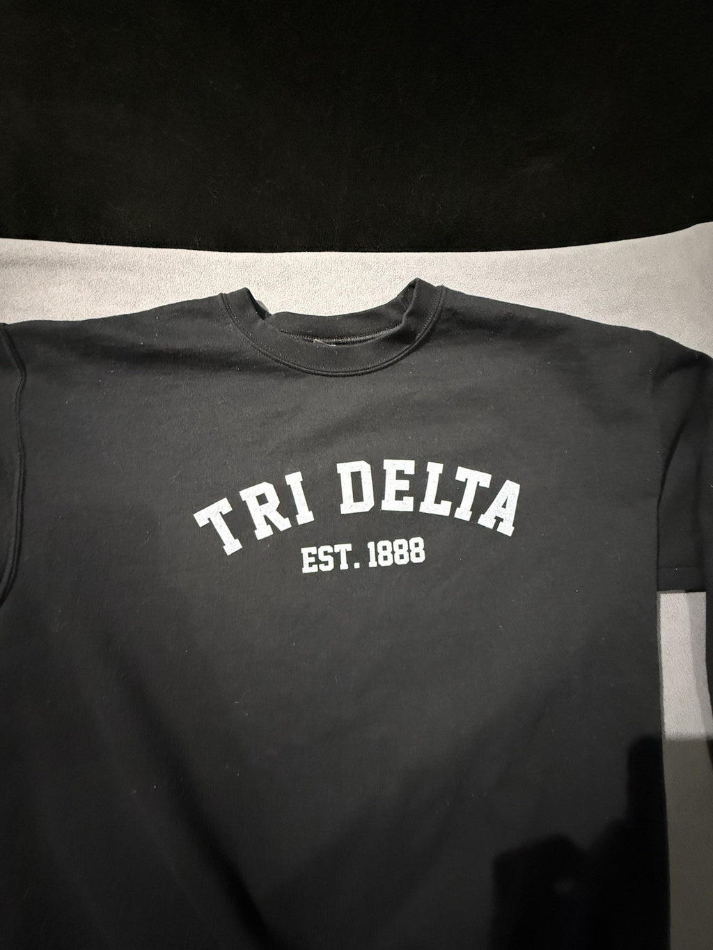 Tri Delta Sorority Est. 1888 women’s Large Black Sweatshirt By Gildan