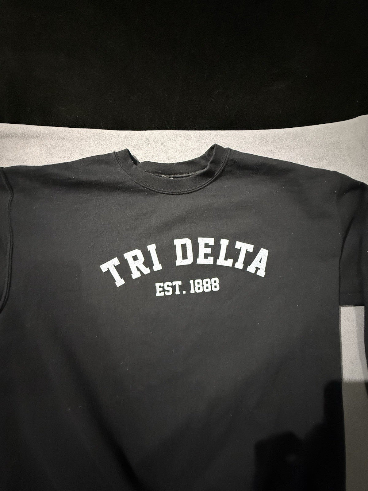 Tri Delta Sorority Est. 1888 women’s Large Black Sweatshirt By Gildan