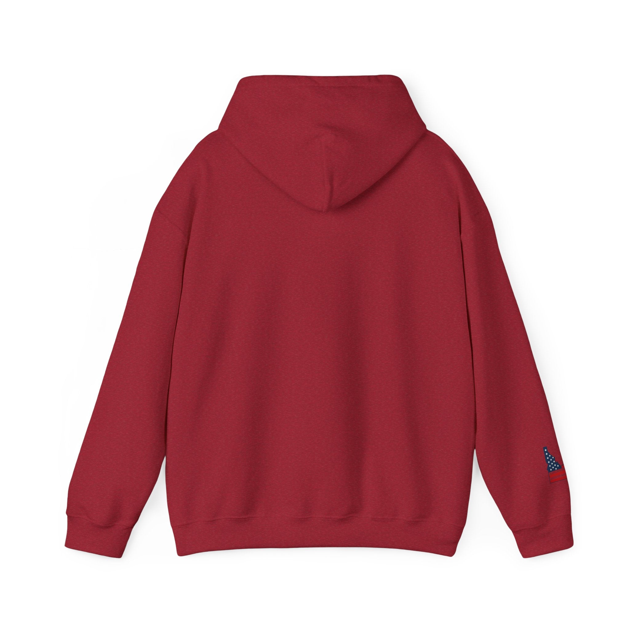 Idahole In One Women's Golf Hoodie With Sleeve Logo