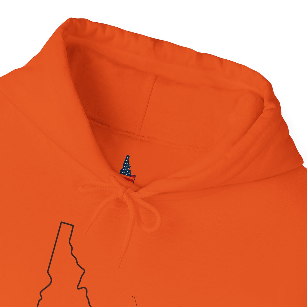 'Idahole In One' Men's Golf Hoodie with Sleeve Logo